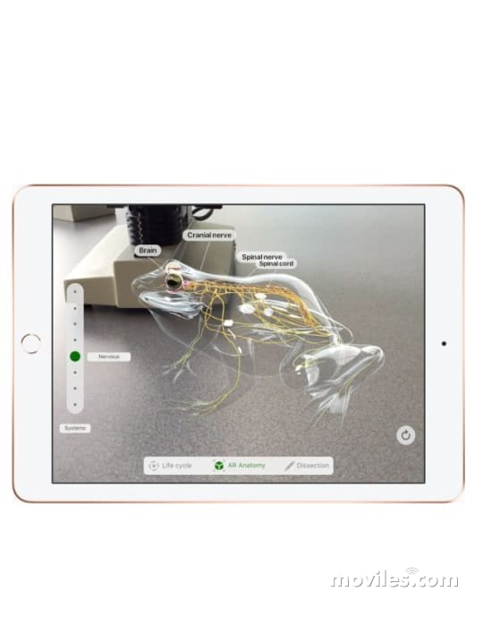 Image 10 Tablet Apple iPad 9.7 (2018)