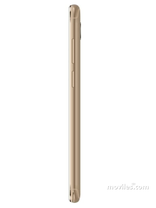 Image 4 Intex Aqua Lions T1 Plus