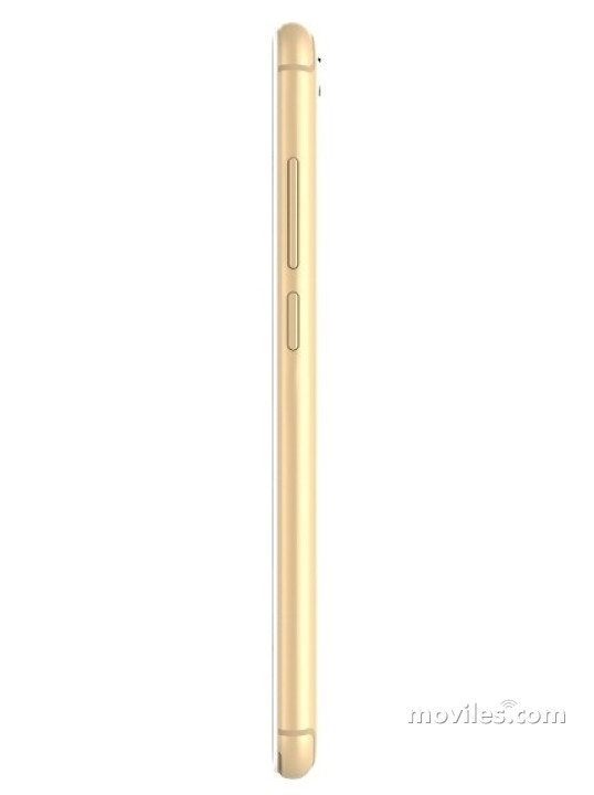 Image 3 Intex Indie 15