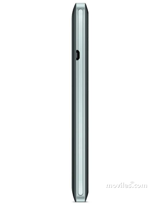 Image 4 Lava Flair P1