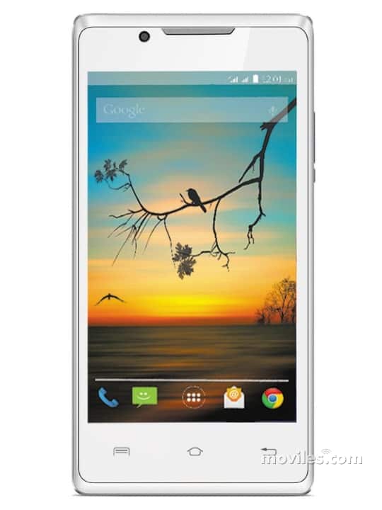 Image 2 Lava Flair P1i