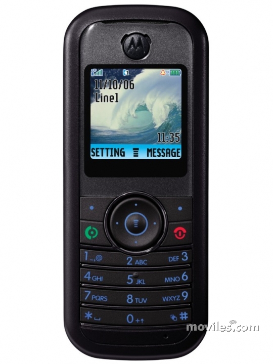 Motorola W205