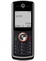 Motorola W161