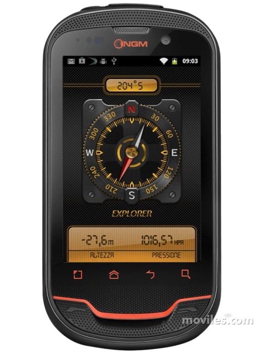 NGM Explorer