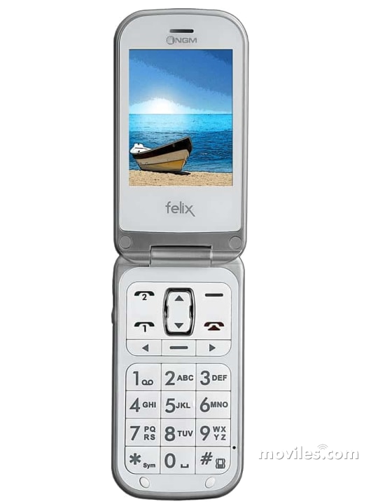 Image 2 NGM Felix