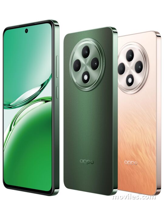 Image 3 Oppo Reno12 F