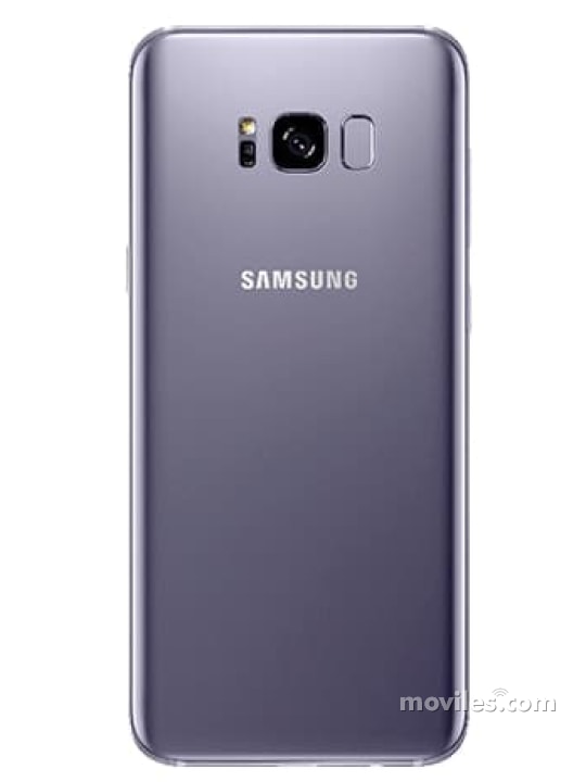 Image 7 Samsung Galaxy S8