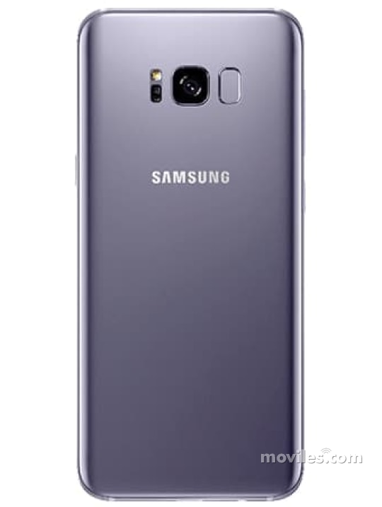 Image 7 Samsung Galaxy S8+