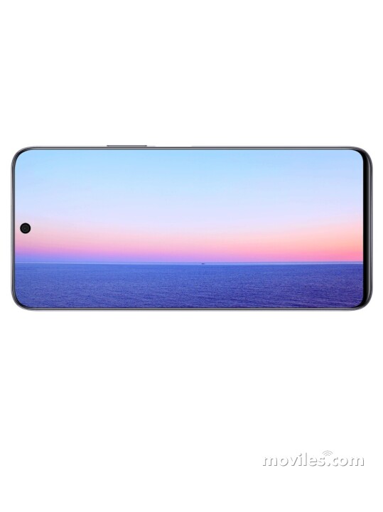 Image 4 Honor X20 SE