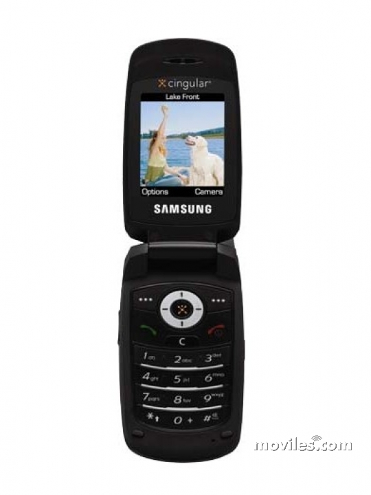 Samsung SGH-C417