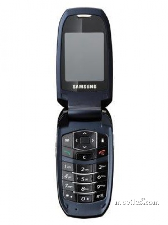 Samsung S501i