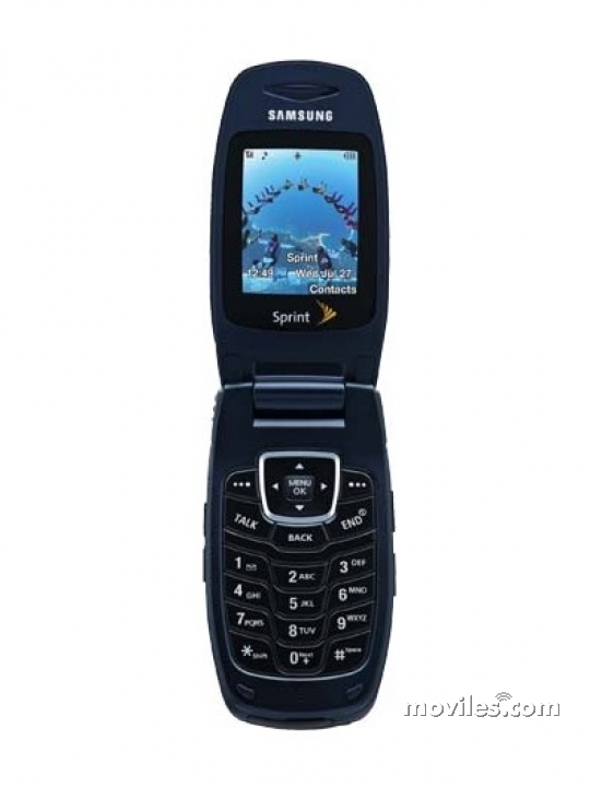 Samsung SPH-A640