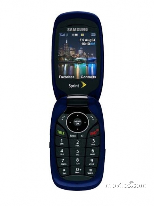 Samsung SPH-M510