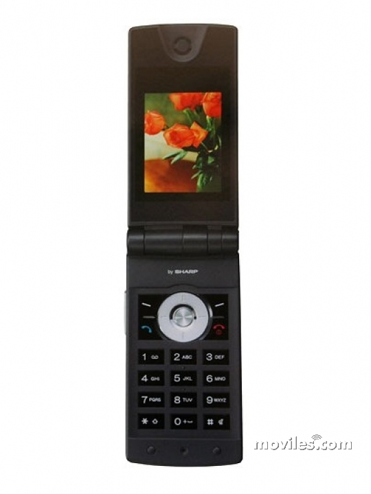 Sharp GX29