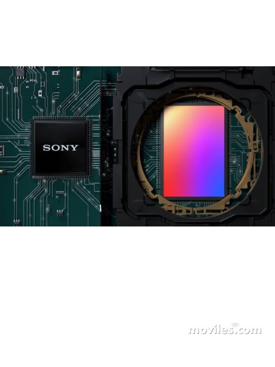 Image 11 Sony Xperia Pro-I
