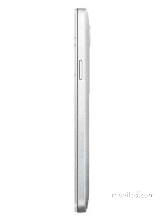 Image 4 TCL P331M